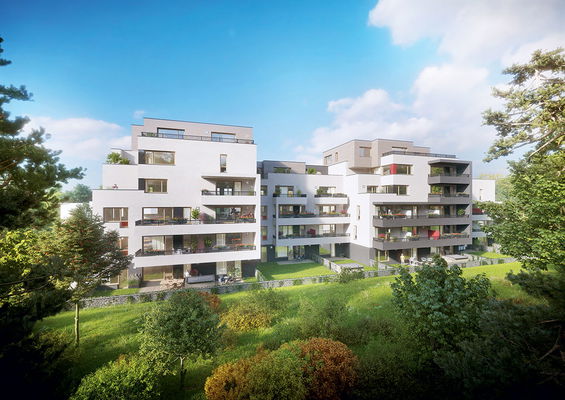 Zielone mieszkania w sercu miasta: Trend, który zdobywa popularność