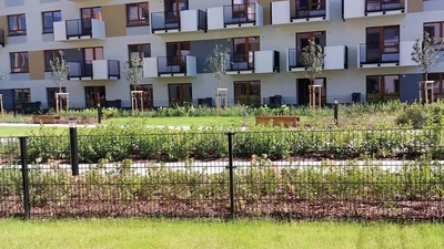 Ostatní