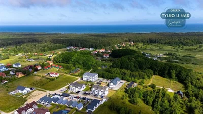 Ostatní