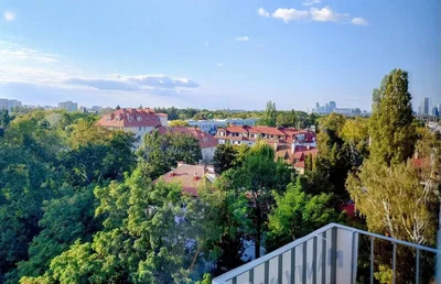 Diğer
