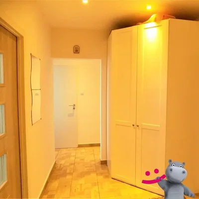 Diğer