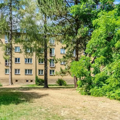 Ostatní