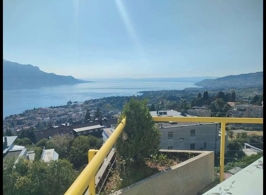 Ostatní