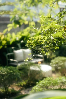 Dnevni boravak