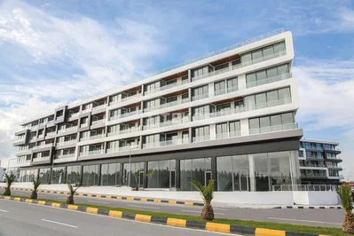 Diğer