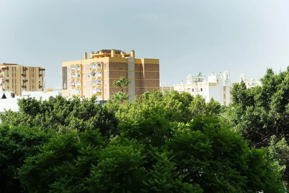Diğer