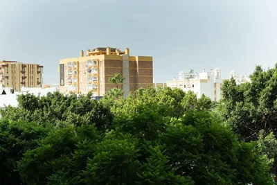 Diğer