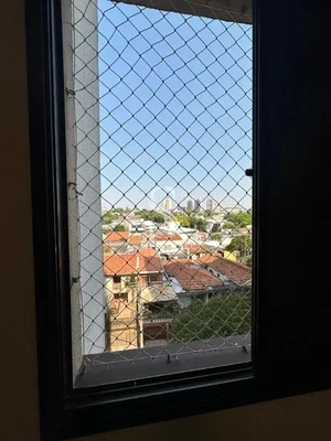 Ostatní