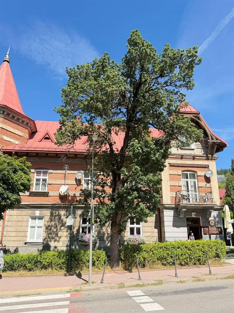 Ostatní