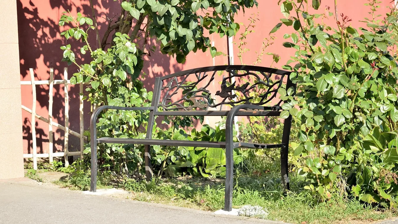 Ostatní