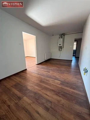 Ostatní