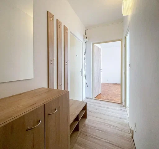 Ostatní