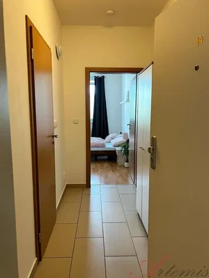 Ostatné