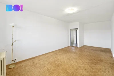 Ostatní