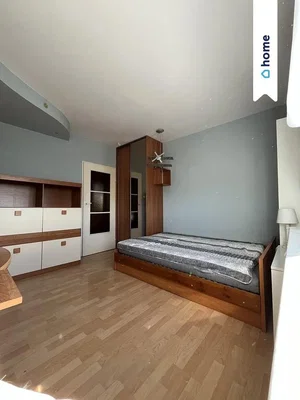 Diğer