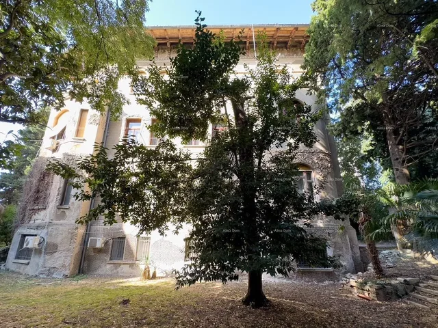 Ostatní