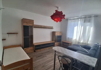 Ostatní