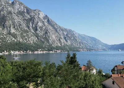 Ostatní