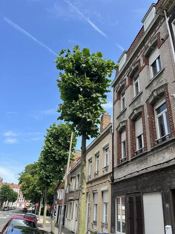 Хол