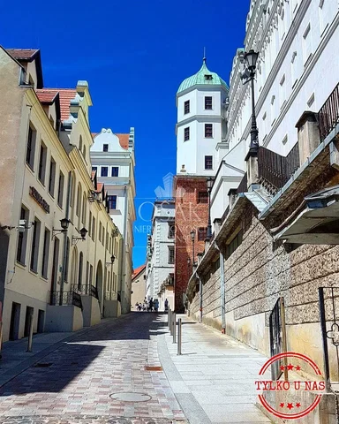 Ostatní