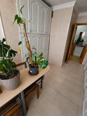 Ostatní
