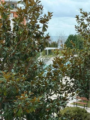 Ostalo