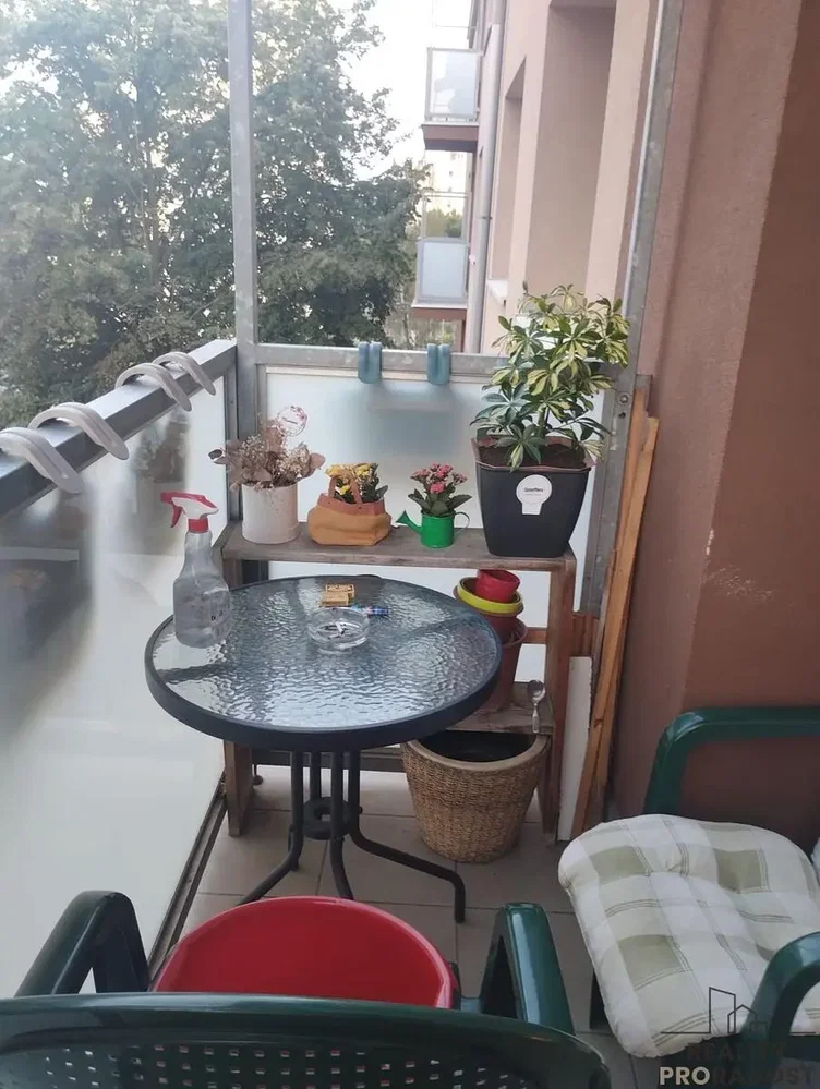 Ostatní