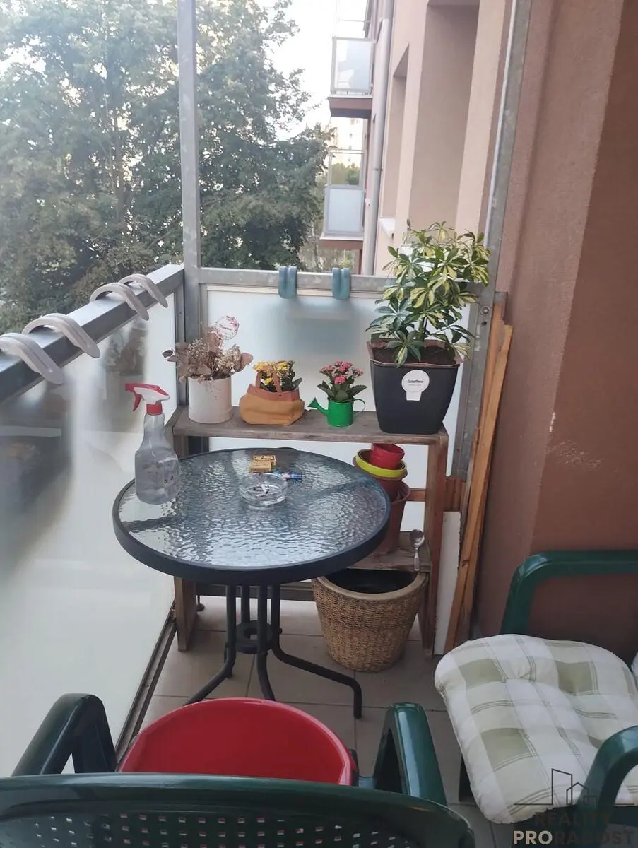 Ostatní