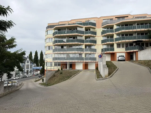 Ostatní