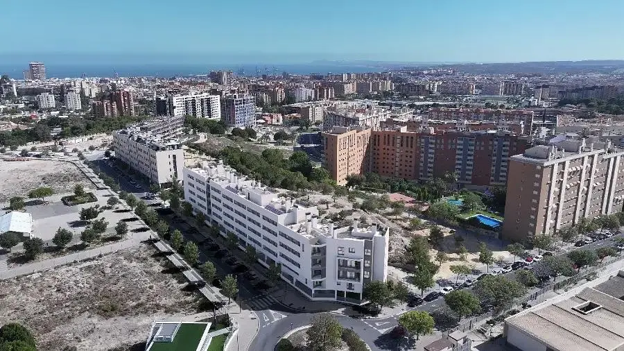 Diğer