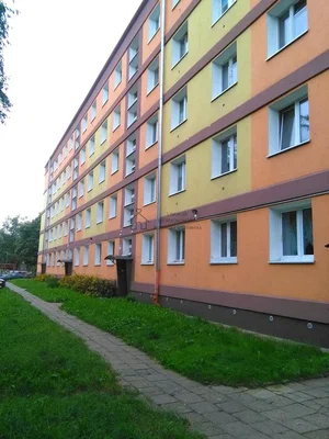 Ostatní