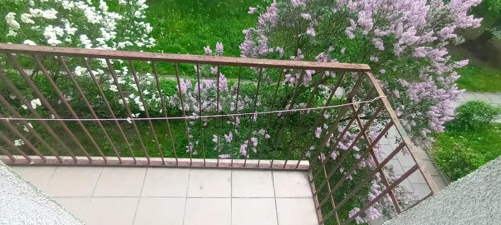 Ostatní