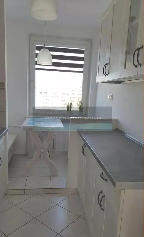 Ostatní