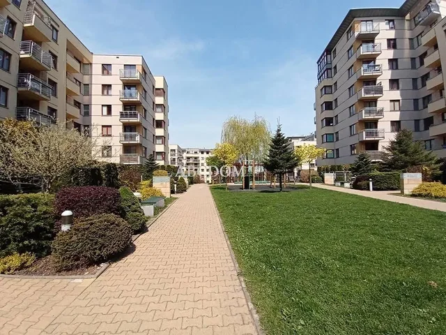 Ostatní