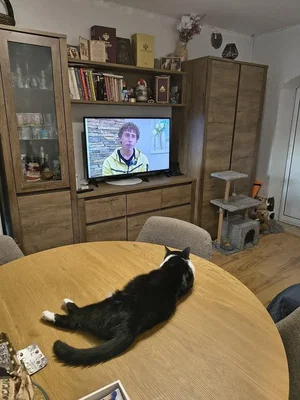 Obývací pokoj