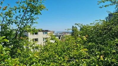 Остало