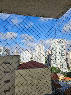 Ostatní