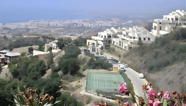 Diğer