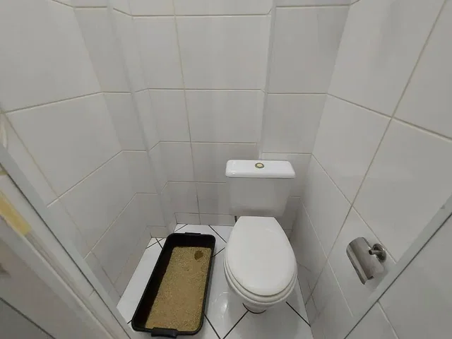 Ostatní