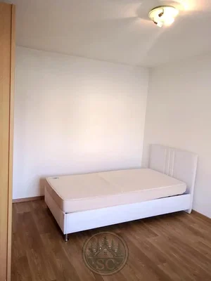 Ostatní