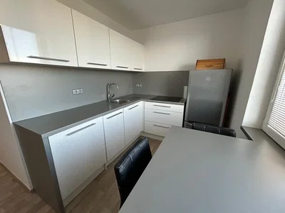 Diğer