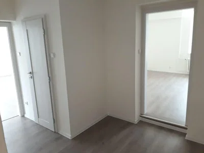 Diğer