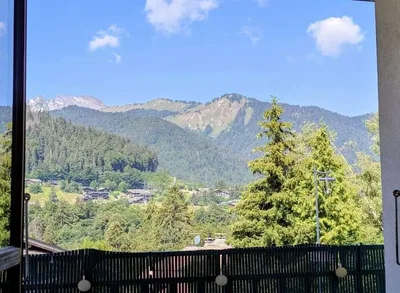 Ostatní