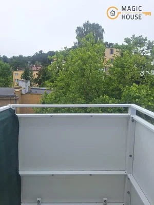 Ostatní
