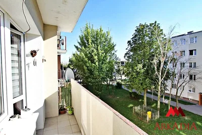 Diğer