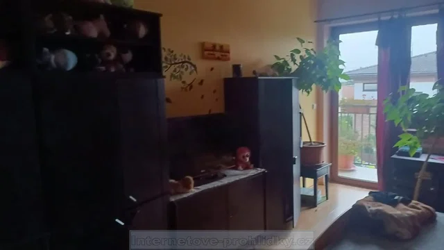 Ostale