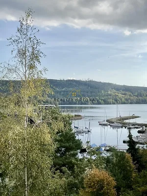 Ostatní