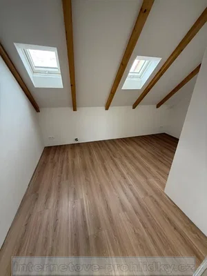 Ostatní