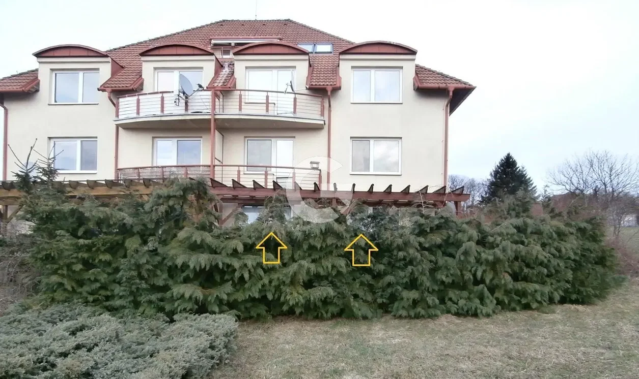 Ostatní