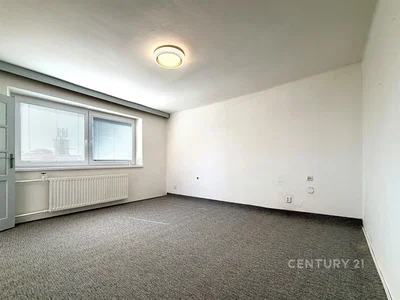 Ostatní